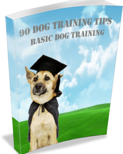 90 Dog Training Tips