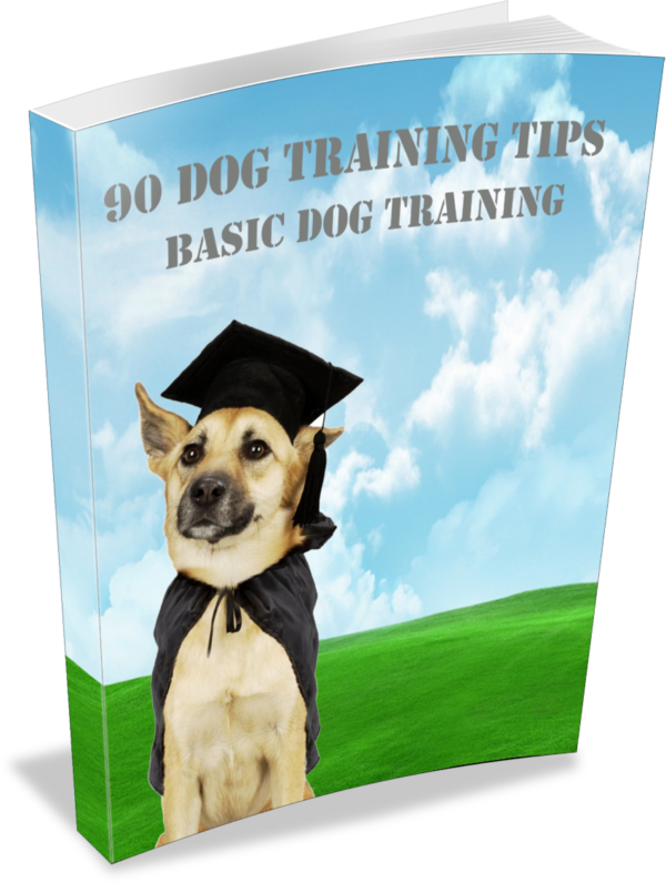 90 Dog Training Tips