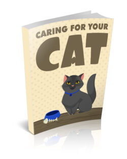 Caring For Your Cat 1.jpg