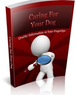 Caring For Your Dog