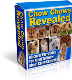 Chow Chows Revealed