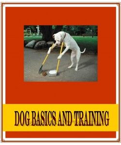 Dog Basics and Training