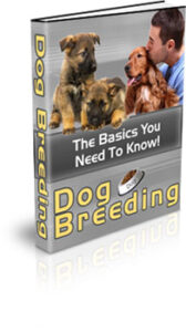 Dog Breeding