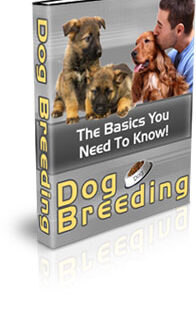 Dog Breeding