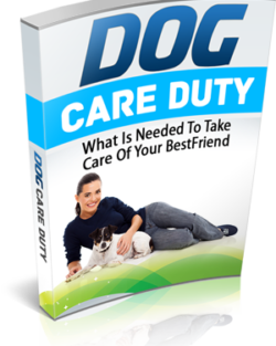 Dog Care Duty