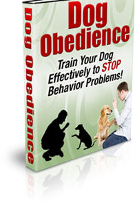 Dog Obedience