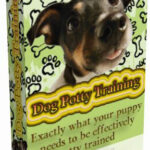 Dog Potty Training