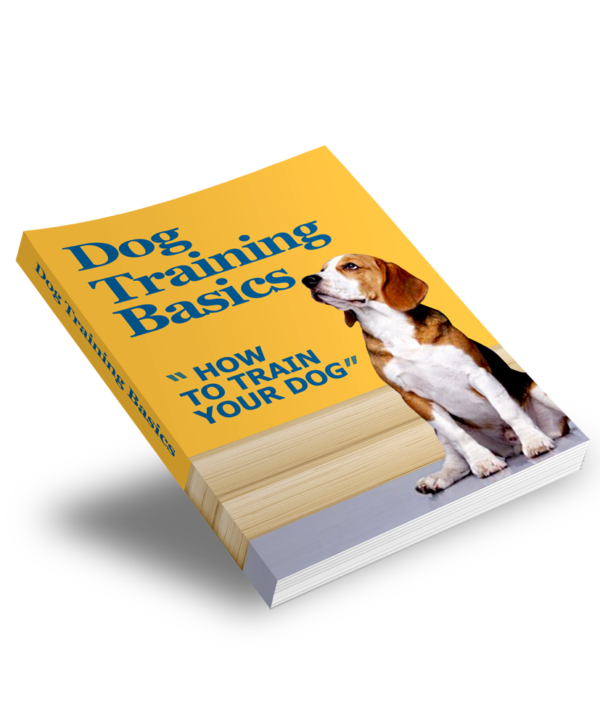 Dog Training Basics