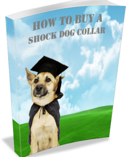 How To Buy A Shock Collar