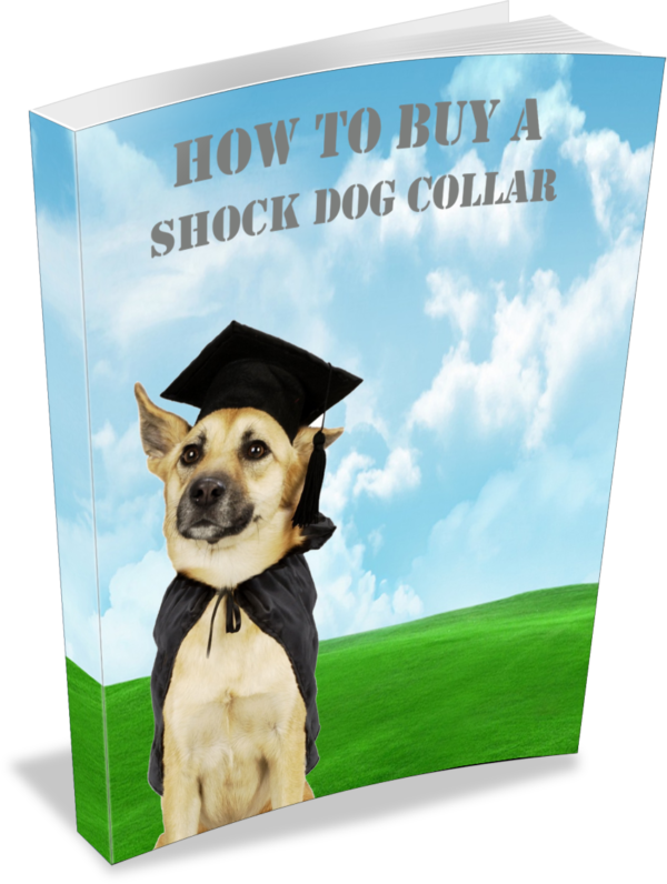 How To Buy A Shock Collar