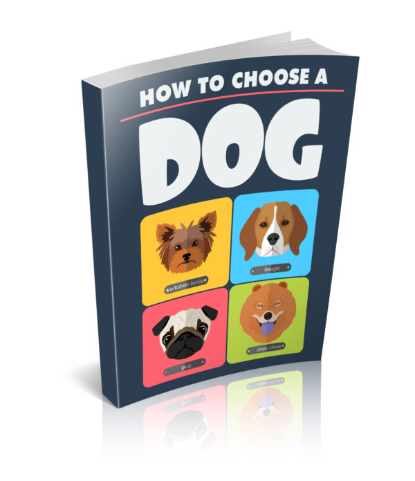 How To Choose A Dog 1.jpg