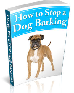 How To Stop Dog Barking