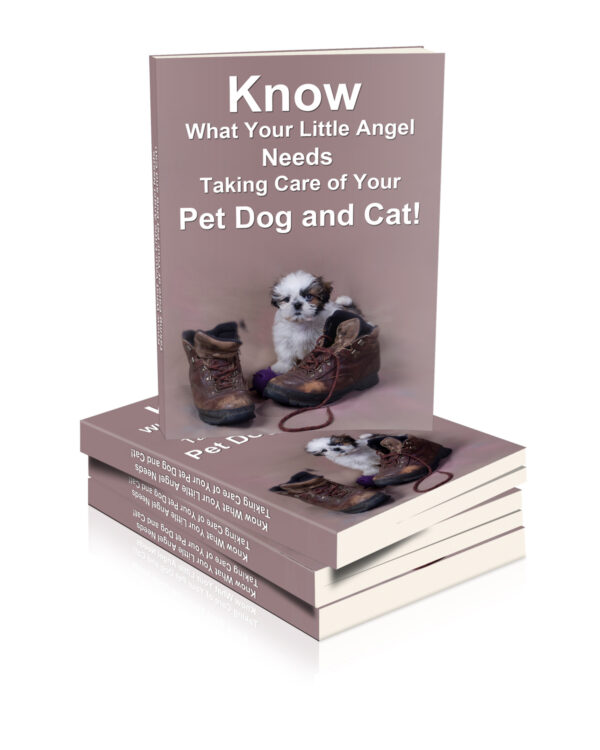 Know What Your Little Angel Needs Taking Care of Your Pet Dog and Cat