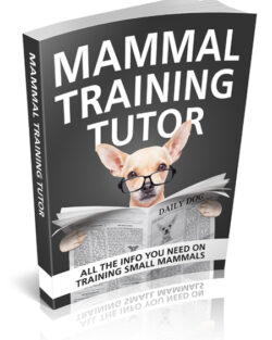 Mammal Training Tutor