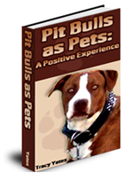 Pit Bulls as Pets