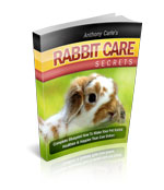 Rabbit Care Secrets