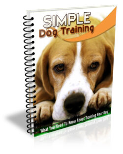 Simple Dog Training