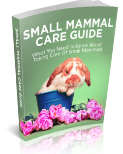 Small Mammal Care Guide