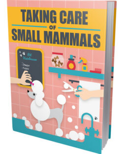 Taking Care Of Small Mammals