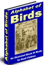 The Alphabet of Birds