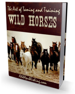 The Art Of Taming and Training Wild Horses