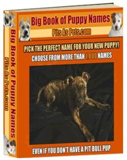 The Big Book of Puppy Names