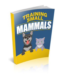 Training Small Mammals