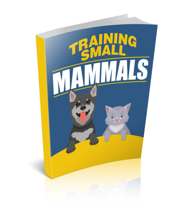 Training Small Mammals 1.jpg