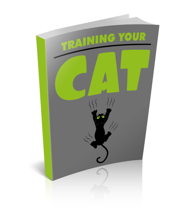 Training Your Cat 1.jpg