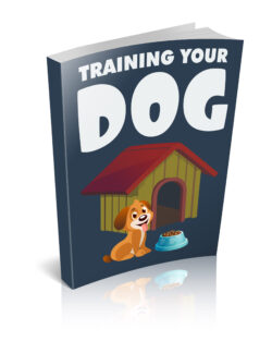 Training Your Dog