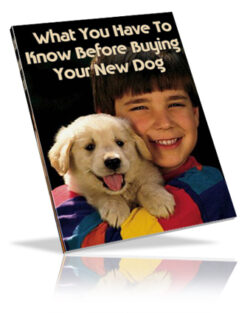 What You Have To Know Before Buying Your New Dog