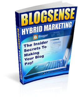 Blogsense20Hybrid20Marketing.jpg