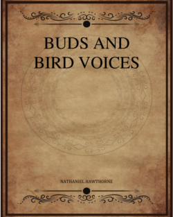 Buds And Bird Voices Hawthorne Nathaniel.png