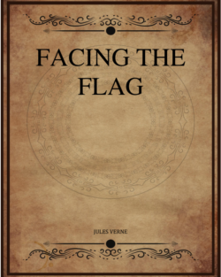 Facing The Flag.png