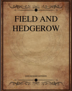 Field And Hedgerow.png