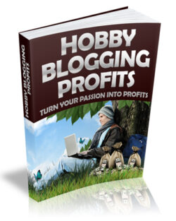 Hobby20Blogging20Profits.jpg