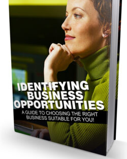 Identifying20Business20Opportunities.jpg