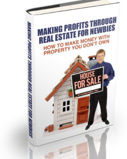 Making20Profits20Through20Real20Estate20For20Newbies.jpg