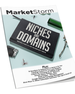 Niches20And20Domains.png