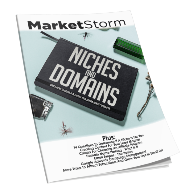 Niches20And20Domains.png