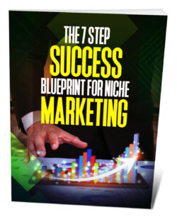 The20720Step20Success20Blueprint20For20Niche20Marketing.jpg