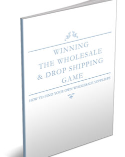 Winning20The20Wholesale2020Dropshipping20Game 1.jpg